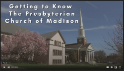 Getting to Know the Presbyterian Church of Madison